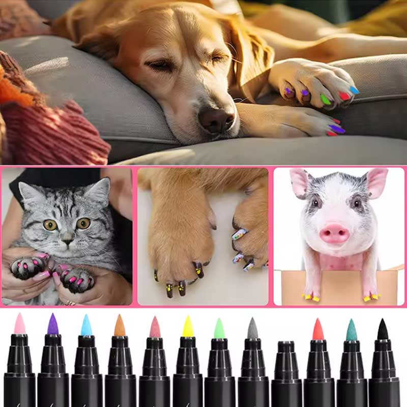 Pena Cat Kuku Anjing